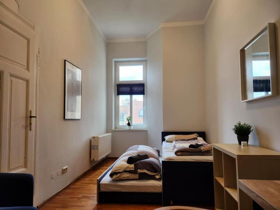 4 Raum Wohnung Mit Balkon Auf 120Sqm In Top Lage Дрезден Экстерьер фото